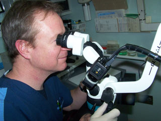 Microscope Assisted Dentistry